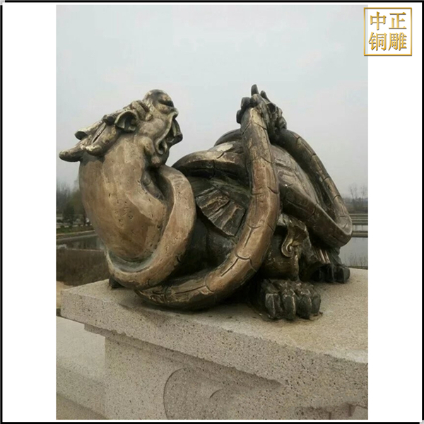 龍龜?shù)袼軆r(jià)格.jpg